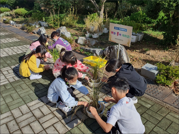 10.4.수 벼.콩 수확, 노작활동^^